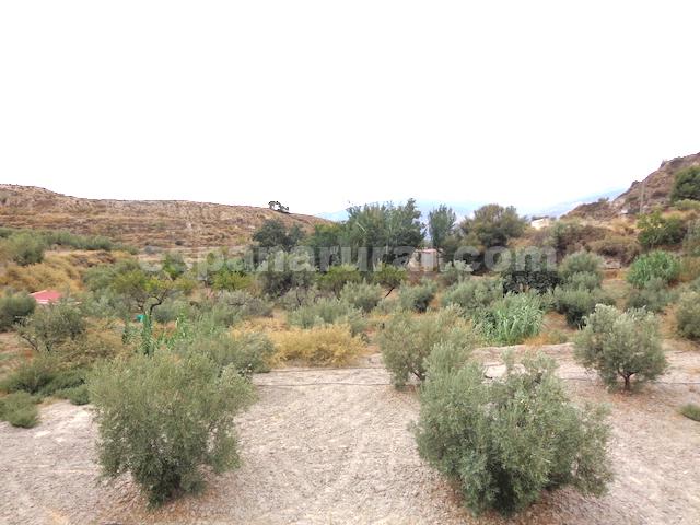 Image No.22-5 Bed Country House for sale