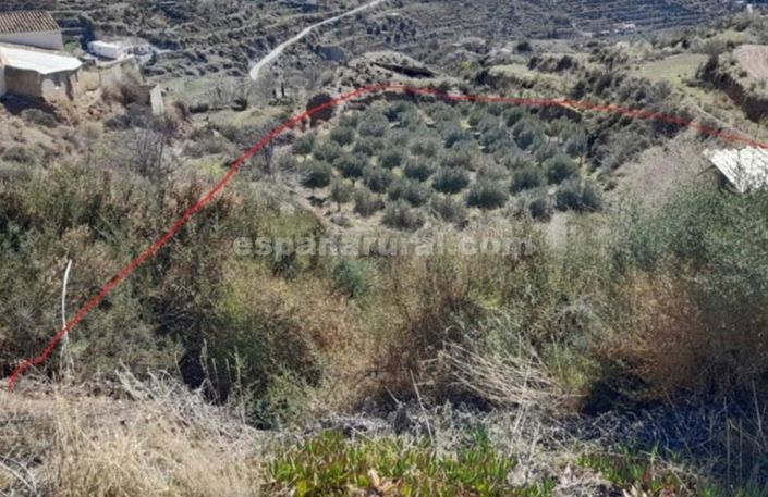 Image No.17-4 Bed Country House for sale