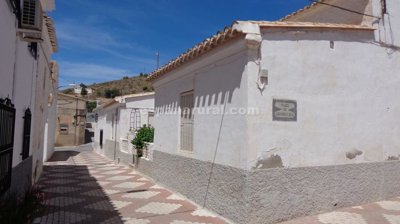 xml31494