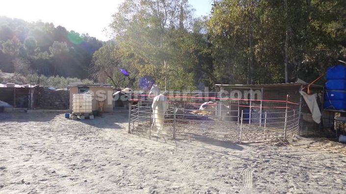 Image No.16-3 Bed Country House for sale