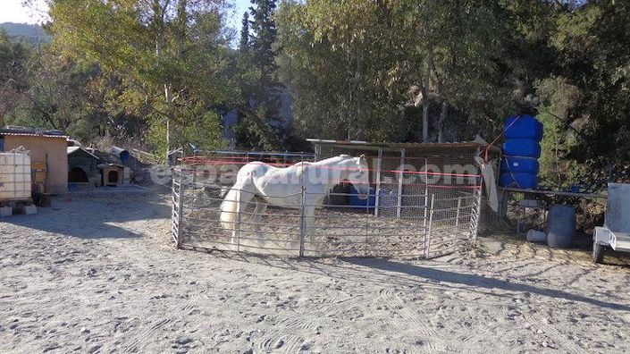 Image No.17-3 Bed Country House for sale