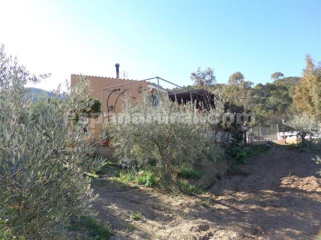 Image No.18-3 Bed Country House for sale
