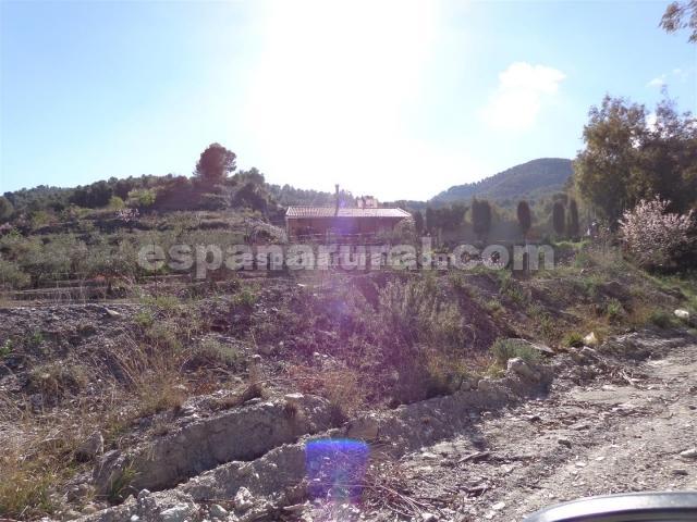 Image No.19-3 Bed Country House for sale