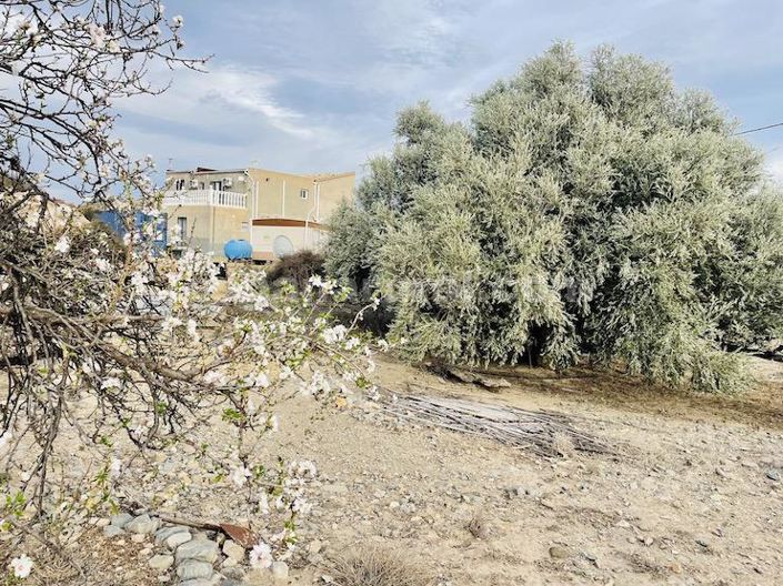 Image No.26-6 Bed Country House for sale