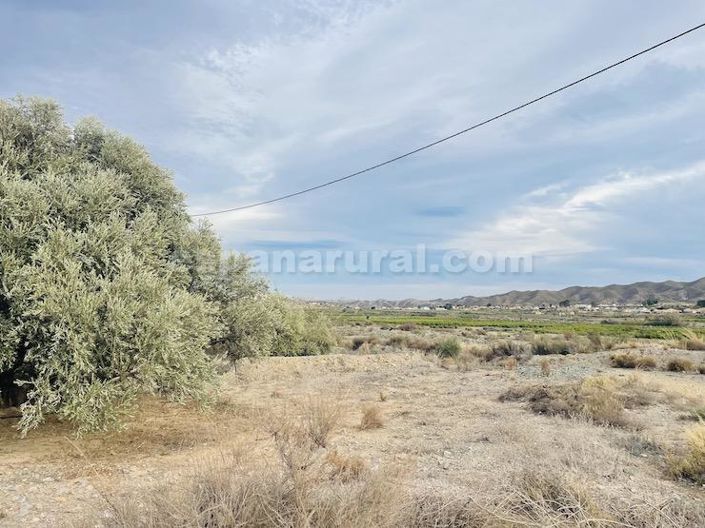 Image No.27-6 Bed Country House for sale