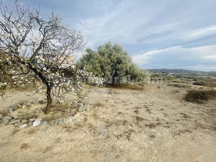 Image No.28-6 Bed Country House for sale