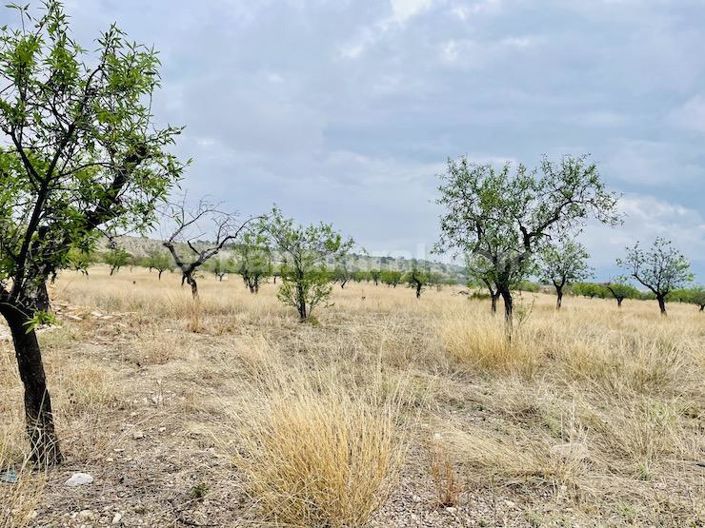 Image No.29-4 Bed Country House for sale