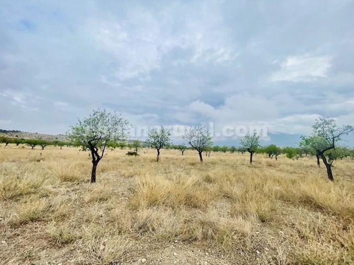 Image No.3-4 Bed Country House for sale