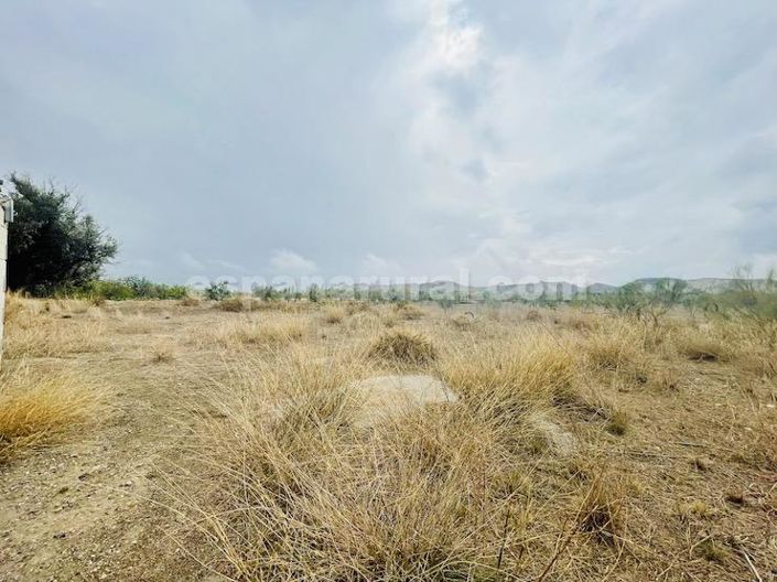 Image No.30-4 Bed Country House for sale