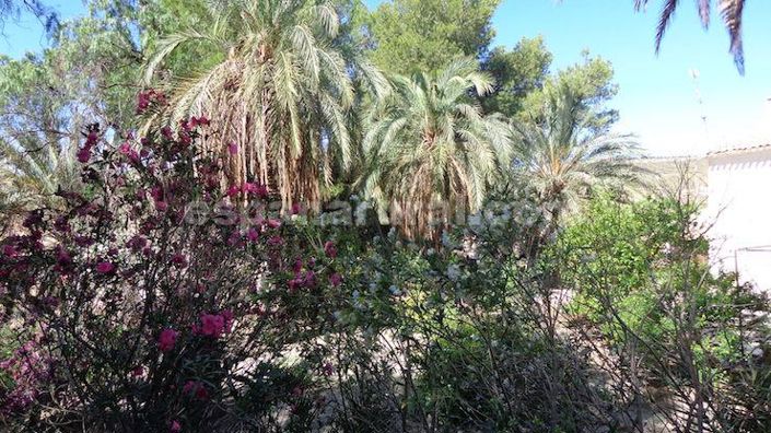 Image No.18-5 Bed Country House for sale