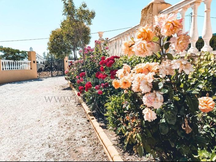 Image No.20-5 Bed Villa for sale