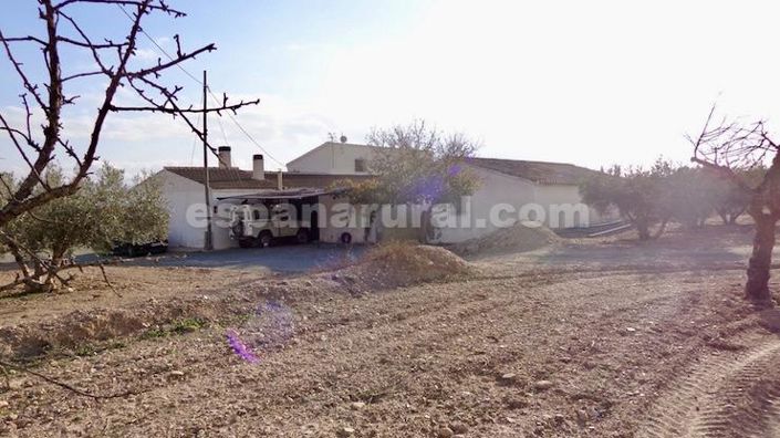 Image No.20-7 Bed Finca for sale