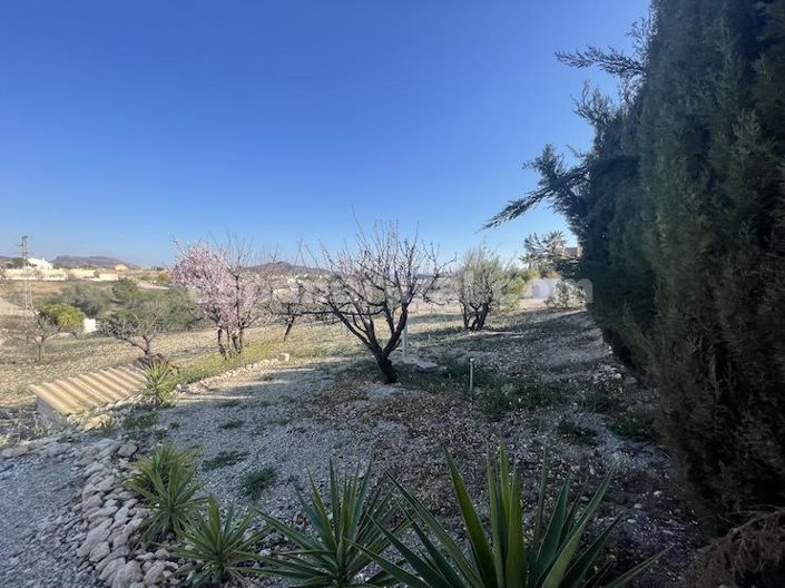 Image No.26-3 Bed Villa for sale