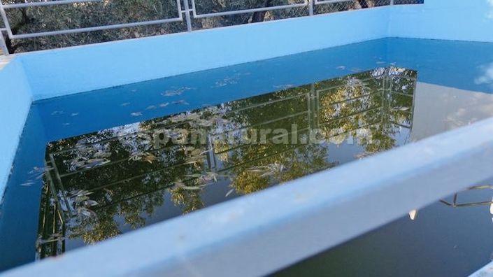 Image No.10-1 Bed Villa for sale