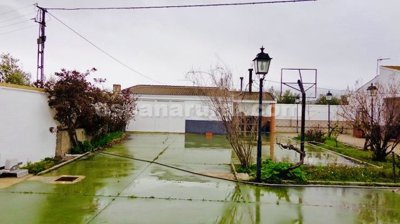 xml37893