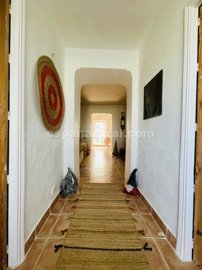 xml38294