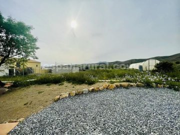xml38322