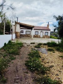 xml38418
