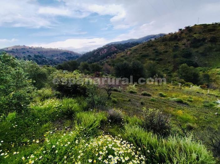 Image No.15-2 Bed Country House for sale