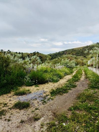 Image No.19-2 Bed Country House for sale