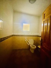 xml38635