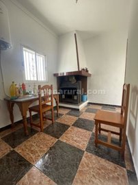 xml38755