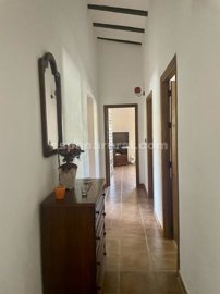 xml38795