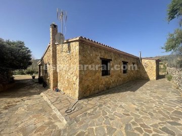 xml38773