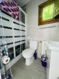 xml38951