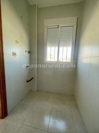 xml39841