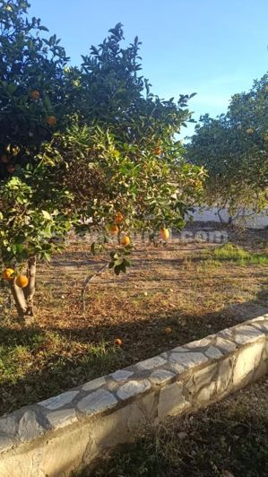 Image No.23-3 Bed Villa for sale