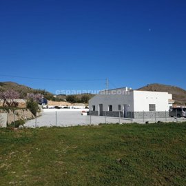 xml39120