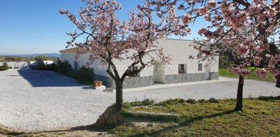 xml39121