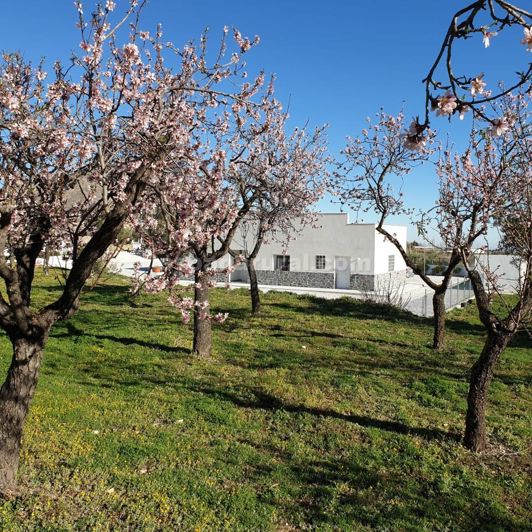 Image No.29-Villa de 3 chambres à vendre à Oria