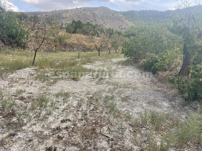 Image No.17-3 Bed Country House for sale