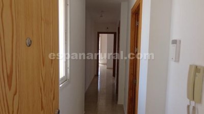 xml39913