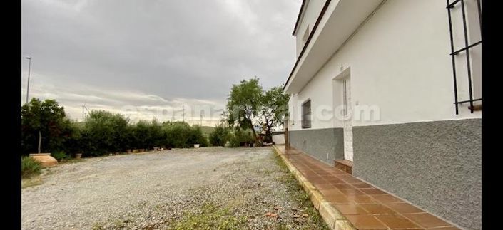 Image No.18-6 Bed Country House for sale