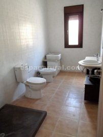 xml29785