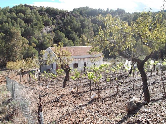 Image No.9-Villa de 3 chambres à vendre à Purchena