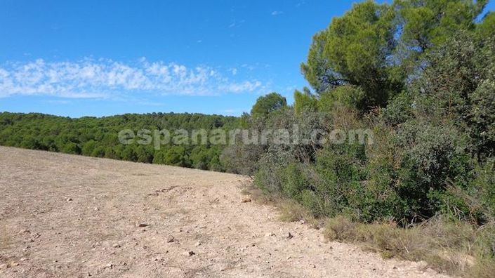 Image No.12-Maison de campagne à vendre à Costa Tropical