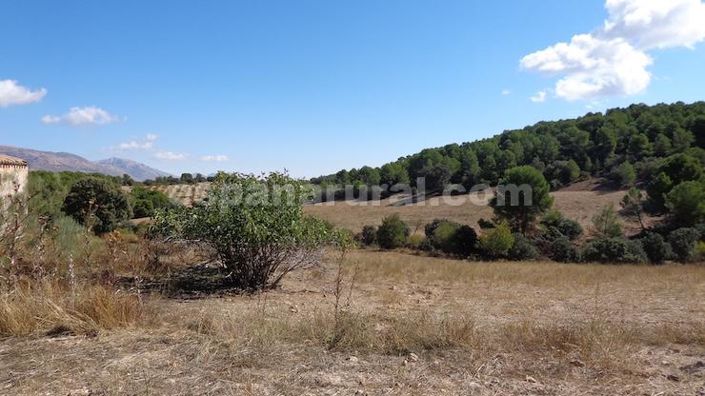 Image No.13-Maison de campagne à vendre à Costa Tropical