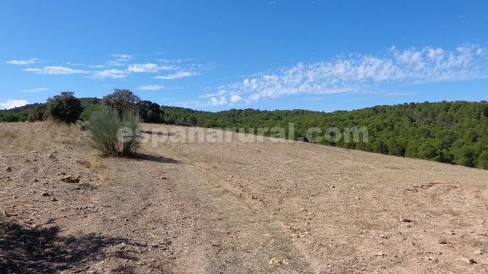 Image No.14-Maison de campagne à vendre à Costa Tropical