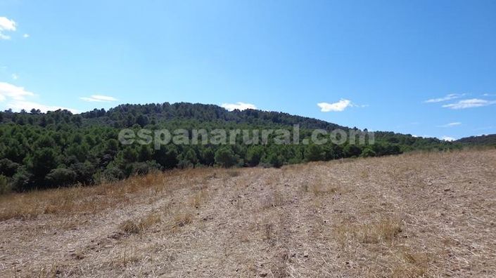 Image No.15-Maison de campagne à vendre à Costa Tropical