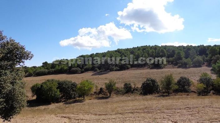 Image No.17-Maison de campagne à vendre à Costa Tropical