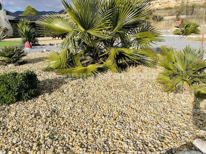 Image No.26-1 Bed Country House for sale