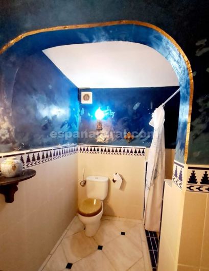 Image No.22-7 Bed Country House for sale