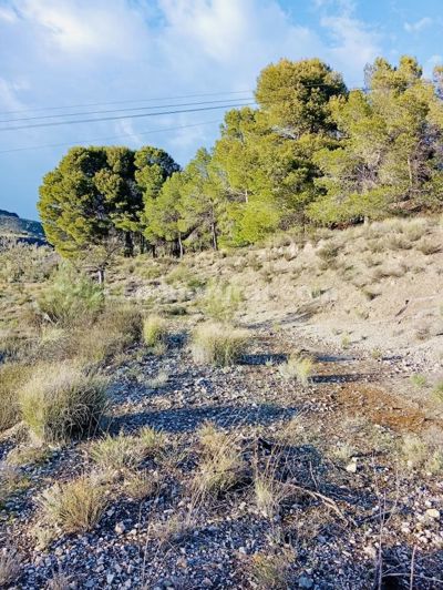 Image No.10-Terre de 4 chambres à vendre à Somontín