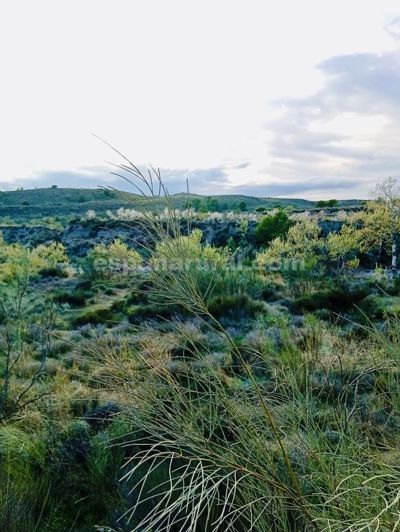 Image No.11-Terre de 4 chambres à vendre à Somontín