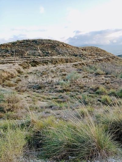 Image No.15-Terre de 4 chambres à vendre à Somontín