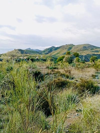 Image No.2-Terre de 4 chambres à vendre à Somontín